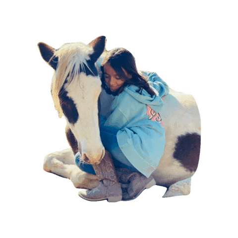Horserescue Sticker by All Seated in a Barn