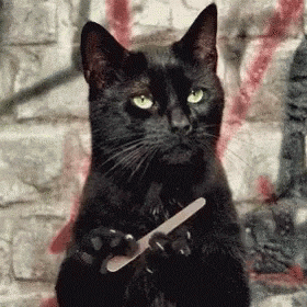 giphyupload GIF
