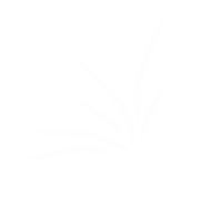 Post Flower Sticker by Ela Mazur Creative
