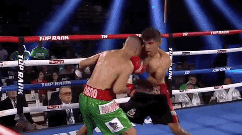 toprank giphyupload fight boxing fighting GIF