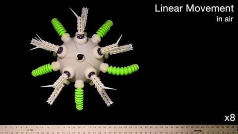 tulsimo giphygifmaker GIF