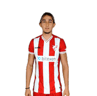 Talha Sticker by Boluspor