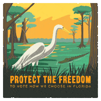 Vote Voting GIF by Creative Courage