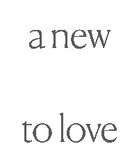 A New Lane To Love Sticker by Varnish Lane