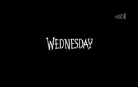 Wednesday Addams Netflix GIF by Mirror
