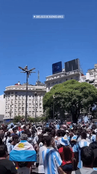 Fans Climb on Light Poles at Argentina's Victory Parade in Buenos Aires