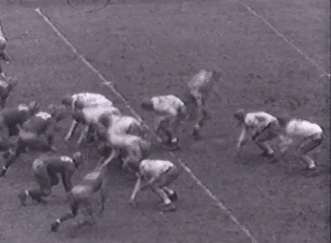 running back football GIF by Pitt Panthers