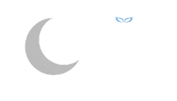 Dreams Dream Big Sticker by Angelman Syndrome Foundation