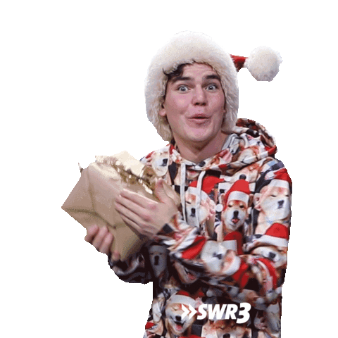 Happy Merry Christmas Sticker by SWR3