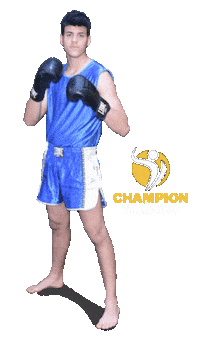 Sora Wushu Sticker by Champion Training Sanda Martial Art