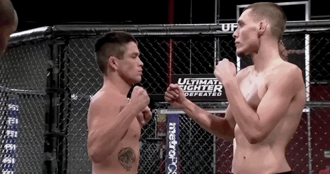The Ultimate Fighter Hockey GIF by UFC