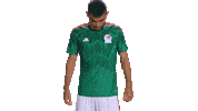 World Cup Futbol Sticker by MiSelecciónMX
