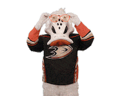 Ice Hockey Sticker by NHL
