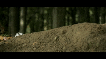 Mtb GIF by StifMTB