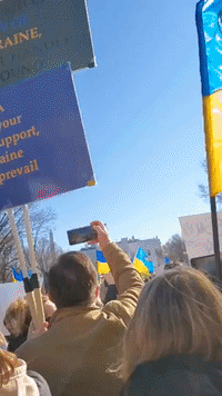 Protesters Rally in Washington in Support of Ukraine
