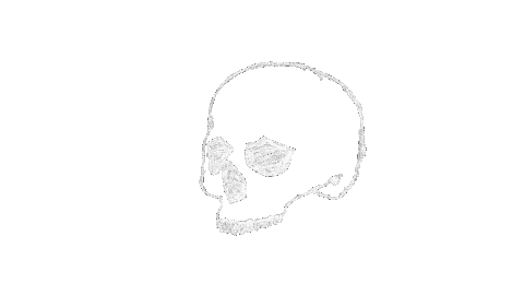 Dia De Los Muertos Spinning Sticker by natscanfly