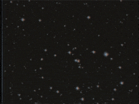 loop vintage GIF by rotomangler