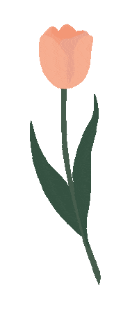 Pink Flower Sticker