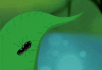 Art Animation GIF