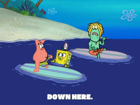 season 6 GIF by SpongeBob SquarePants