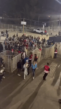 Fans Push Past Security Barrier at Daddy Yankee Concert in Santiago