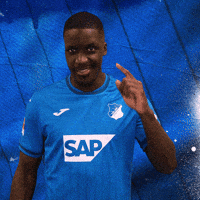 Sport Bundesliga GIF by TSG Hoffenheim