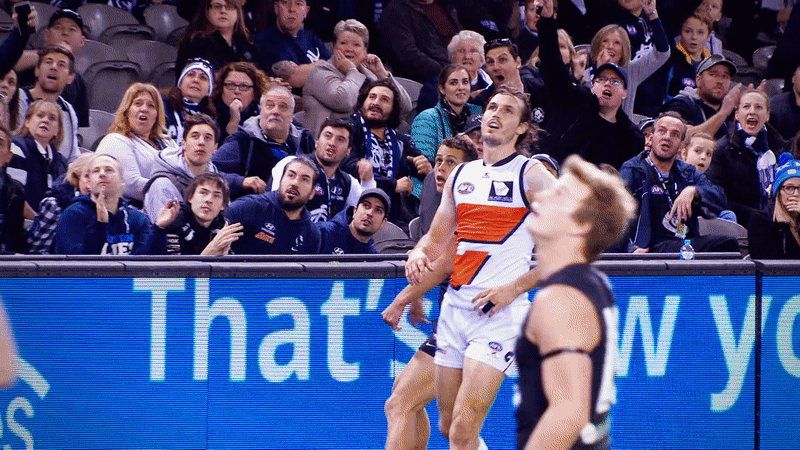 carlton fc celebration GIF by Carlton Football Club