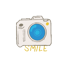 Summer Smile Sticker