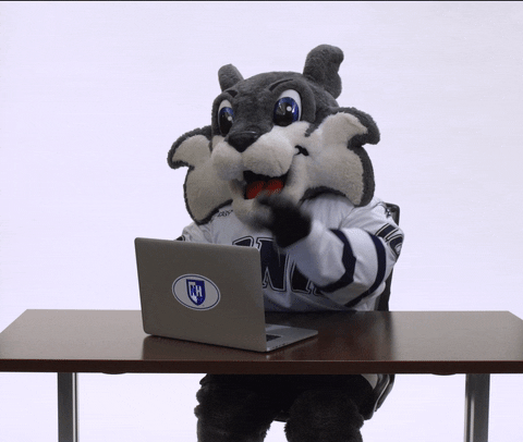 new hampshire typing GIF by University of New Hampshire