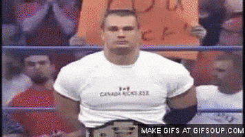 wcw GIF
