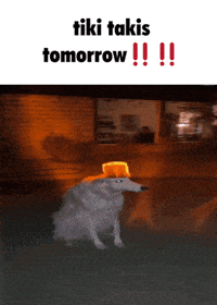 Dog Alarm GIF