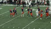 Syracuse University Su GIF by TheDreamTeam 