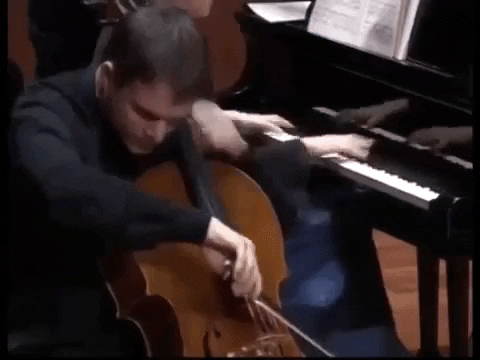 FIVLeon_MX giphygifmaker violoncello mikolaj konopelski fivleonmx GIF