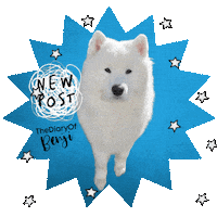 Sticker Click Sticker