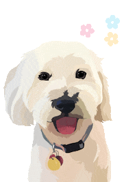 Dog Pet Sticker by Watertown Humane Society