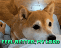 feel better get well GIF