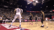 jeff ayres summer GIF by NBA