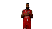 Liga Endesa Basketball Sticker by ACB