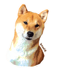 Evolve Shiba Inu Sticker by Adulting with Joyce Pring