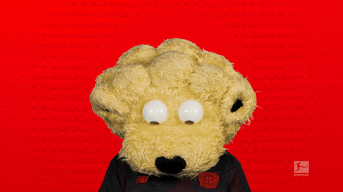 Look Up Bayer Leverkusen GIF by Bundesliga