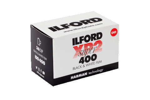 Film Photography Sticker by ILFORD Photo