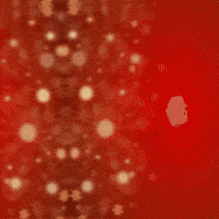 Christmas Tree GIF by TeaCosyFolk