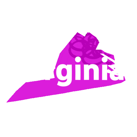Virginia Beach Pride Sticker by YouTube