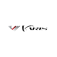 legalstreetracing varis varisjapan Sticker