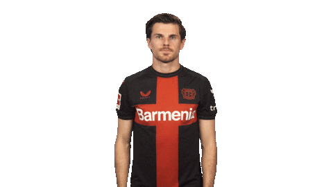 Bayer Leverkusen Hello Sticker by Bundesliga