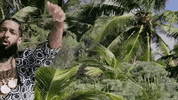 Palm Tree Vacation GIF by Nipsey Hussle