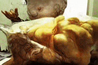 Lab Creator GIF by Alex Boya