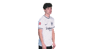 Max Frankfurt Sticker by Bundesliga