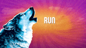 Wolf Reaction GIF by Aristocrat Gaming