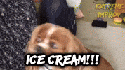 Ice Cream Dog GIF by Extreme Improv
